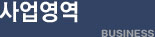 사업영역