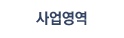 사업영역